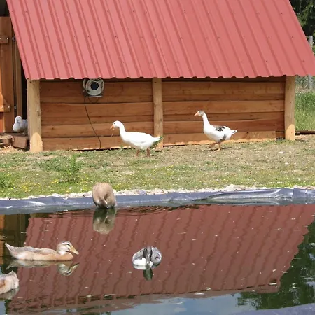 Ferienhaus Fur Bis Zu 4 Personen Zur Seeseite - #125259 Holiday home